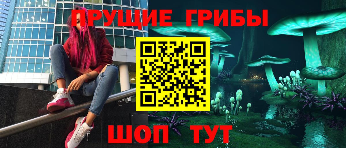 Галлюциногенные грибы мухоморы  Псилоцибиновые грибы прущие грибы  Пугачёв  Вход с VPN 